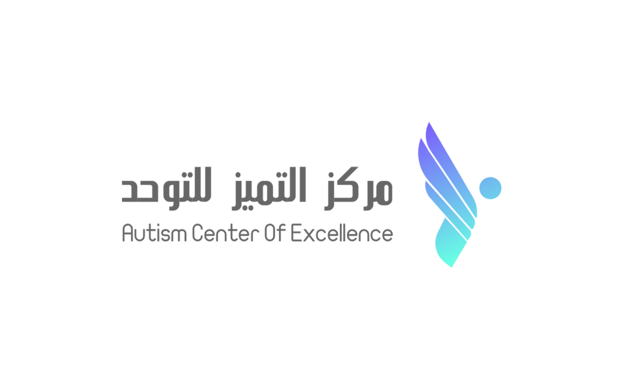 Autism Center of Excellence